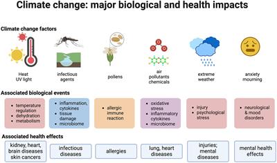 A toxicological perspective on climate change and the exposome